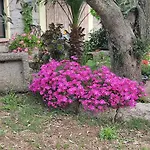 San Michele 3* Беркидда