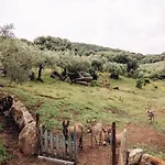 San Michele 3* Беркидда