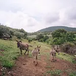 San Michele Отель типа 