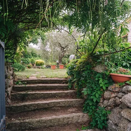 לינה וארוחת בוקר San Michele 3*