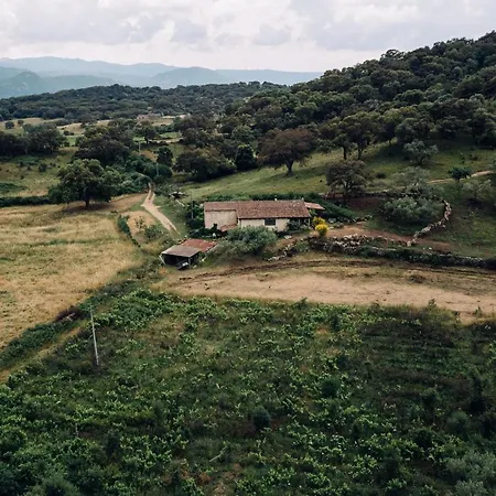 住宿加早餐酒店 San Michele