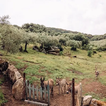 San Michele 3* 贝尔基达