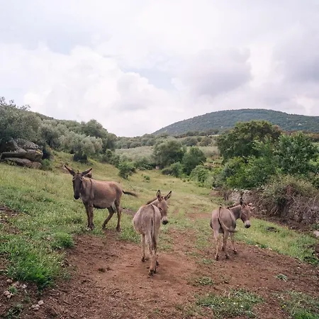 San Michele 住宿加早餐酒店 3*