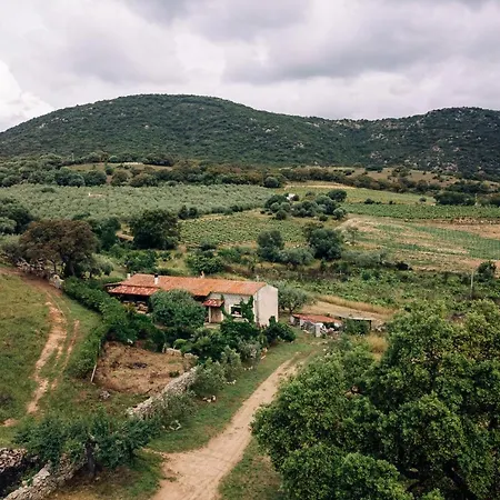 San Michele לינה וארוחת בוקר 3*