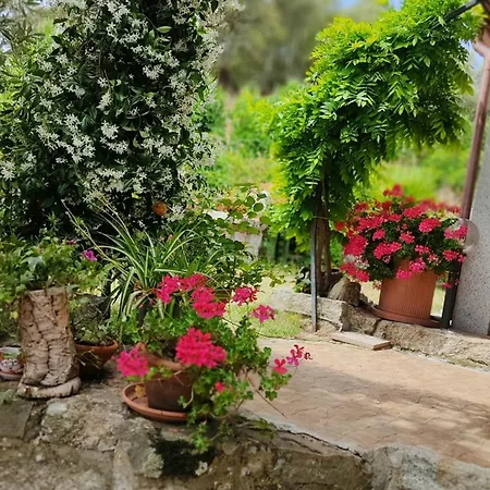 San Michele Bed & Breakfast 3*