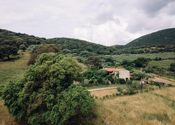 San Michele Bed & Breakfast Berchidda