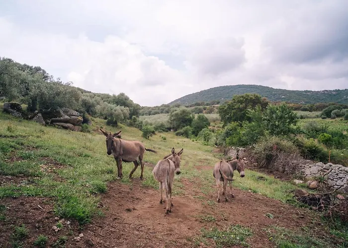 San Michele Bed & Breakfast 3*