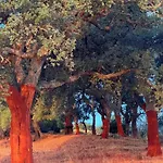 Bed & Breakfast San Michele