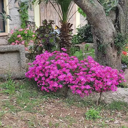 San Michele 3* Berchidda