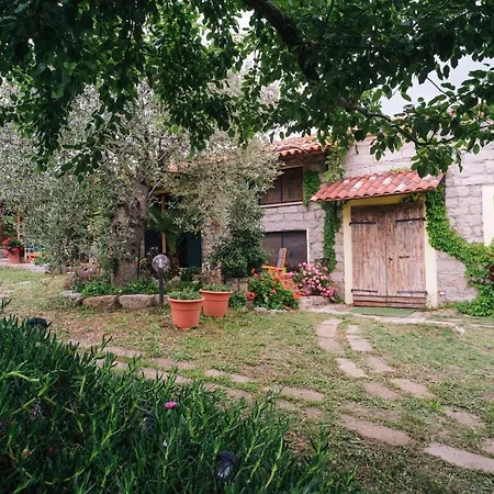 San Michele Berchidda