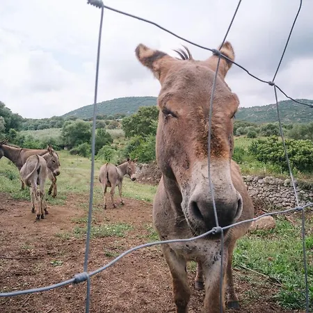San Michele Bed and Breakfast