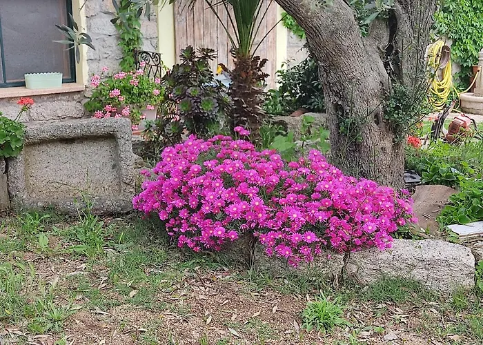 San Michele 3* ברקידה