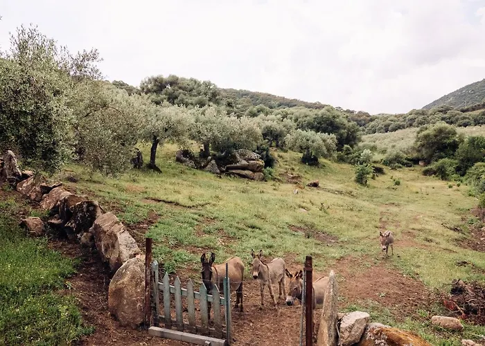 San Michele 3* Berchidda