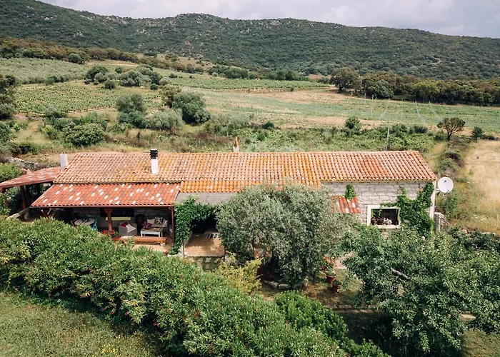 San Michele 3* ברקידה