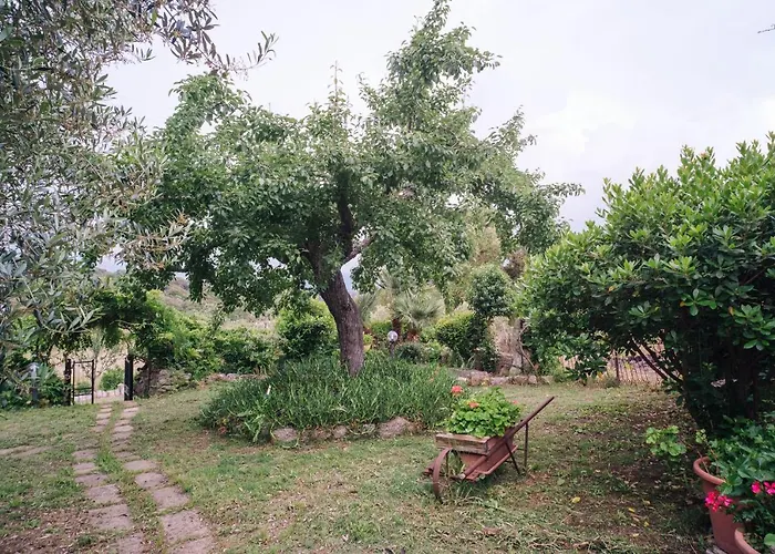 San Michele 3* ברקידה